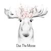 dus_the_moose